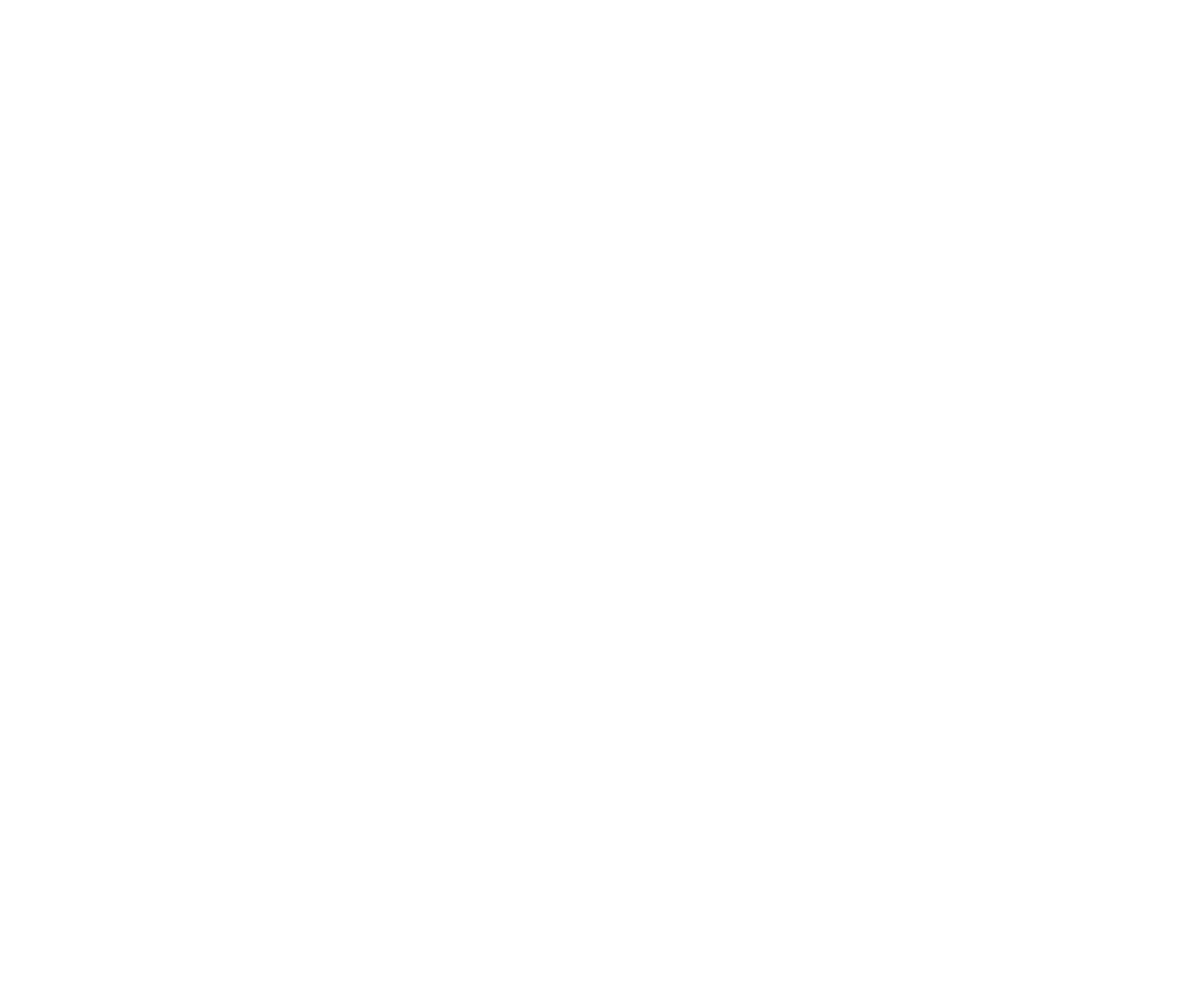 Carlos Stein Chávez